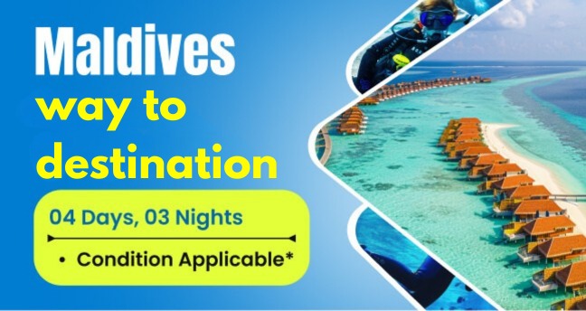Travel Offer
