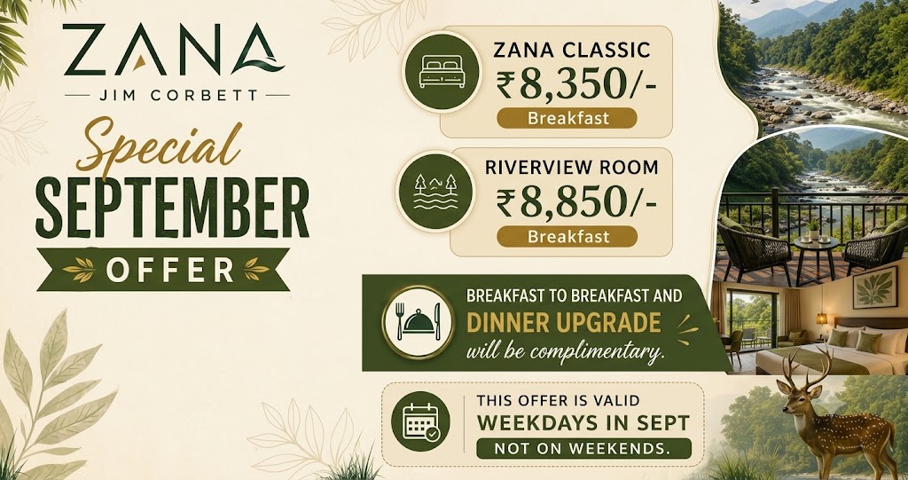 Travel Offer